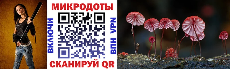 дарк нет наркотические препараты  продажа наркотиков  MEGA ссылка  Волгодонск  Галлюциногенные грибы GOLDEN TEACHER 