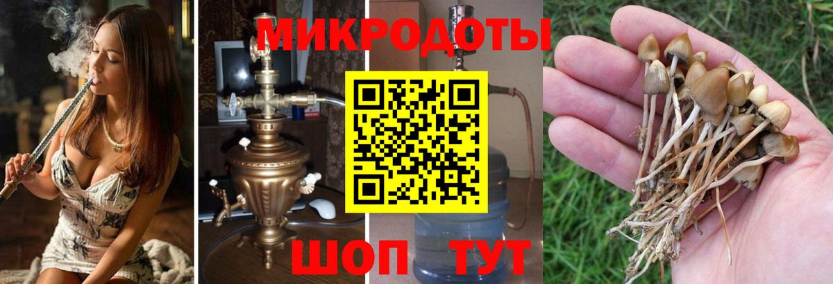 Волгодонск  сколько стоит  Галлюциногенные грибы Cubensis  Вход с VPN  Псилоцибиновые грибы мицелий 